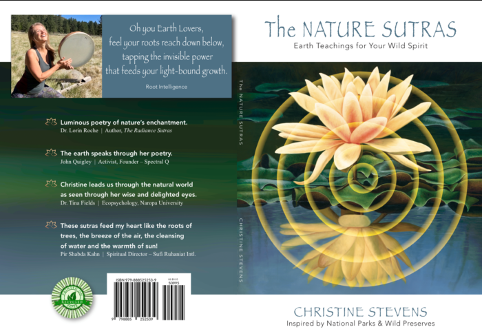 christine stevens the nature sutras front and back cover combined